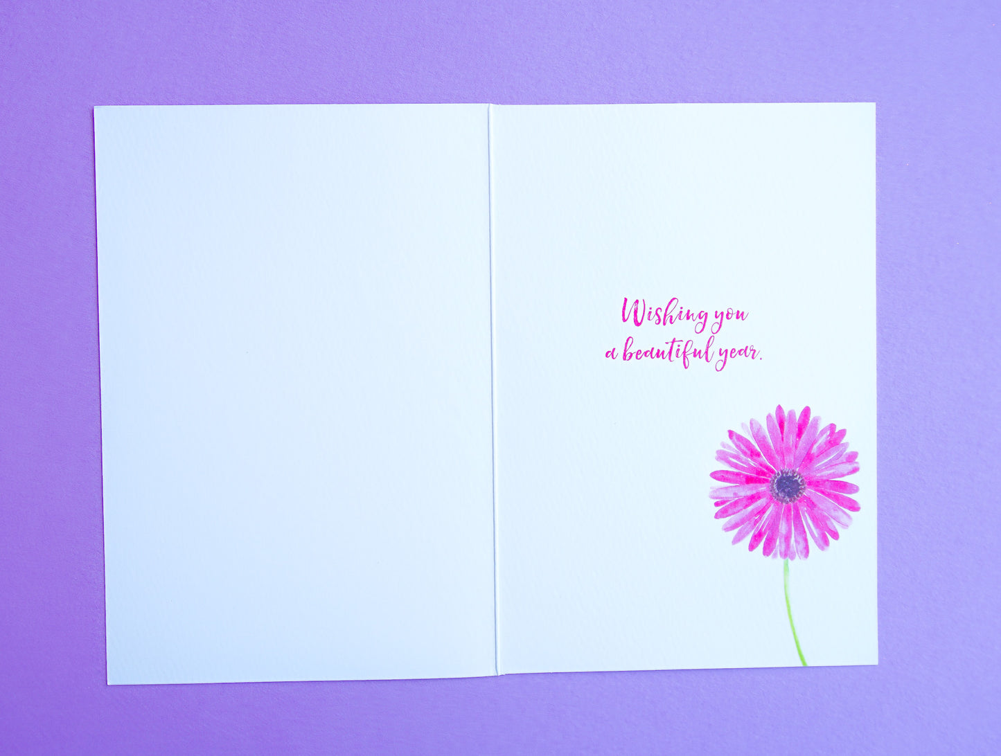 Pink & Purple Daisies Birthday Card - Cardmore