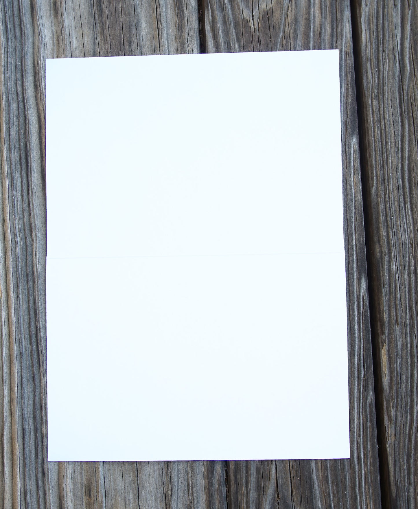 Thinking Of You Kitten Thinking Of You Card - Cardmore