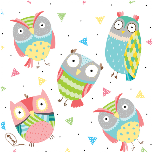 Pictura Owls Smart Cloths featuring a colorful owl pattern on a soft, flexible smart cloth fabric for versatile use.