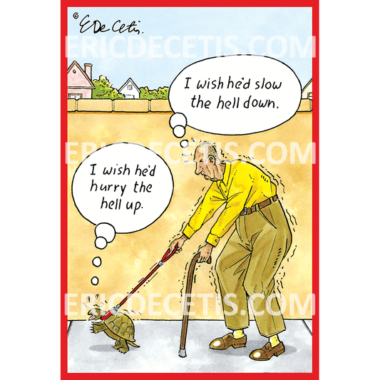 Walking turtle birthday card by Pictura, featuring a charming turtle illustration suitable for everyday occasions.