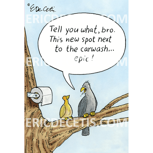 Bird-themed birthday card from Pictura featuring colorful illustrations, designed by Eric Decetis, for special occasions.