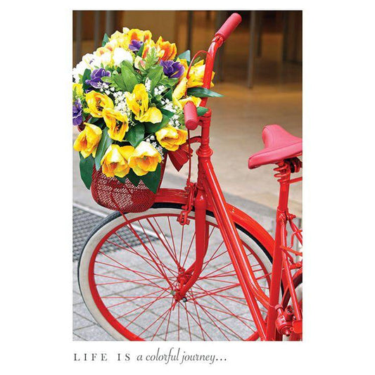 Red painted bicycle birthday card by Pictura featuring colorful bicycle illustration on a cheerful greeting card design.