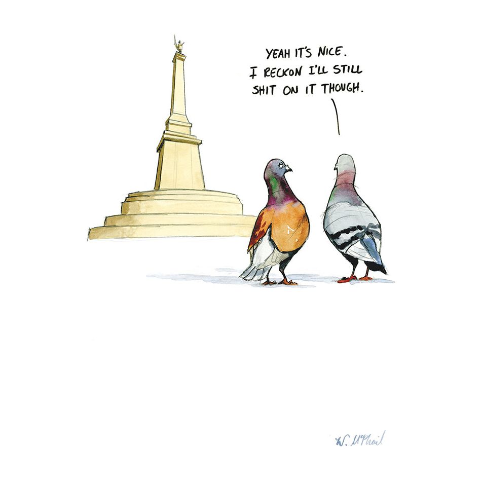 Pigeons Funny Birthday Card