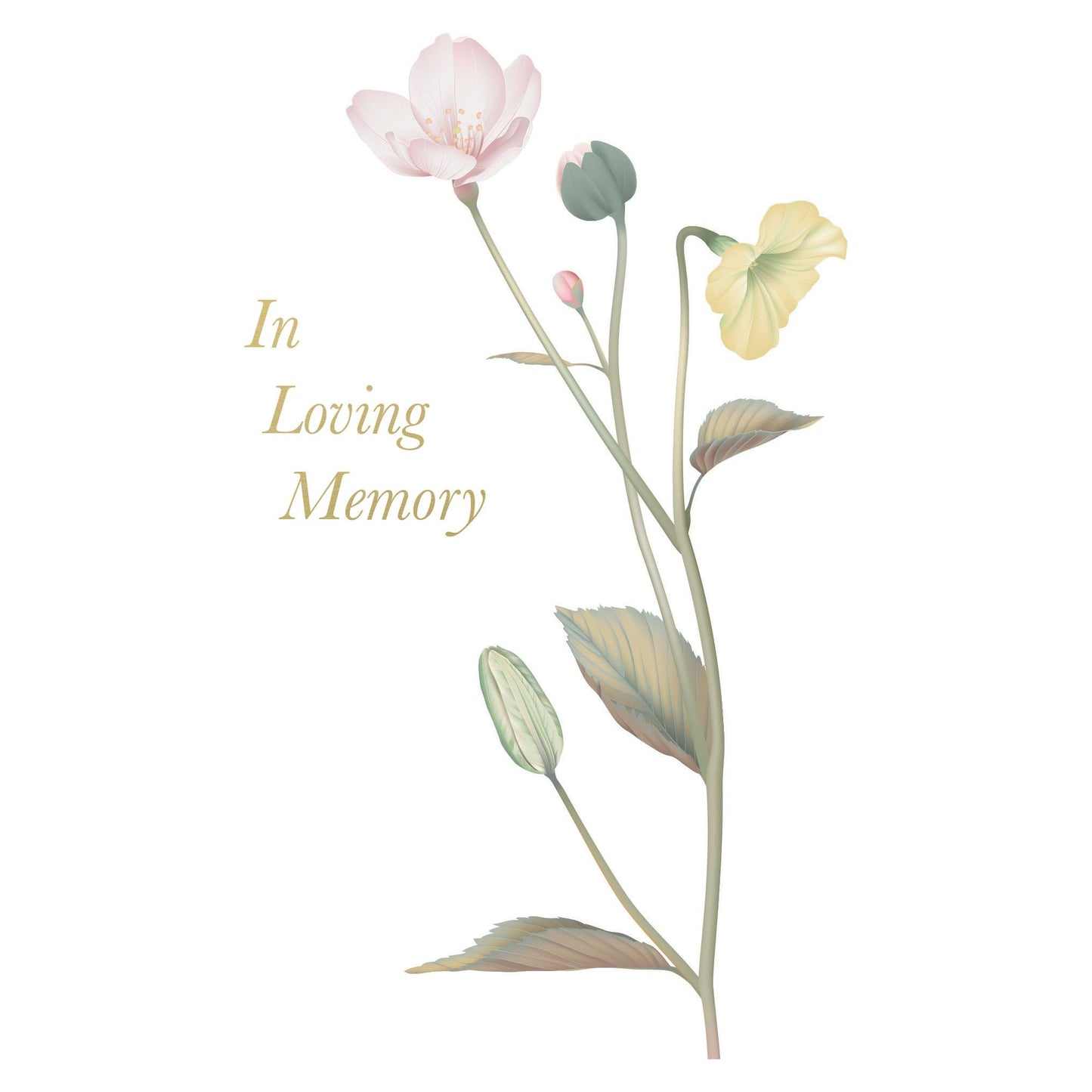 Single Stem Sympathy Card Cardmore