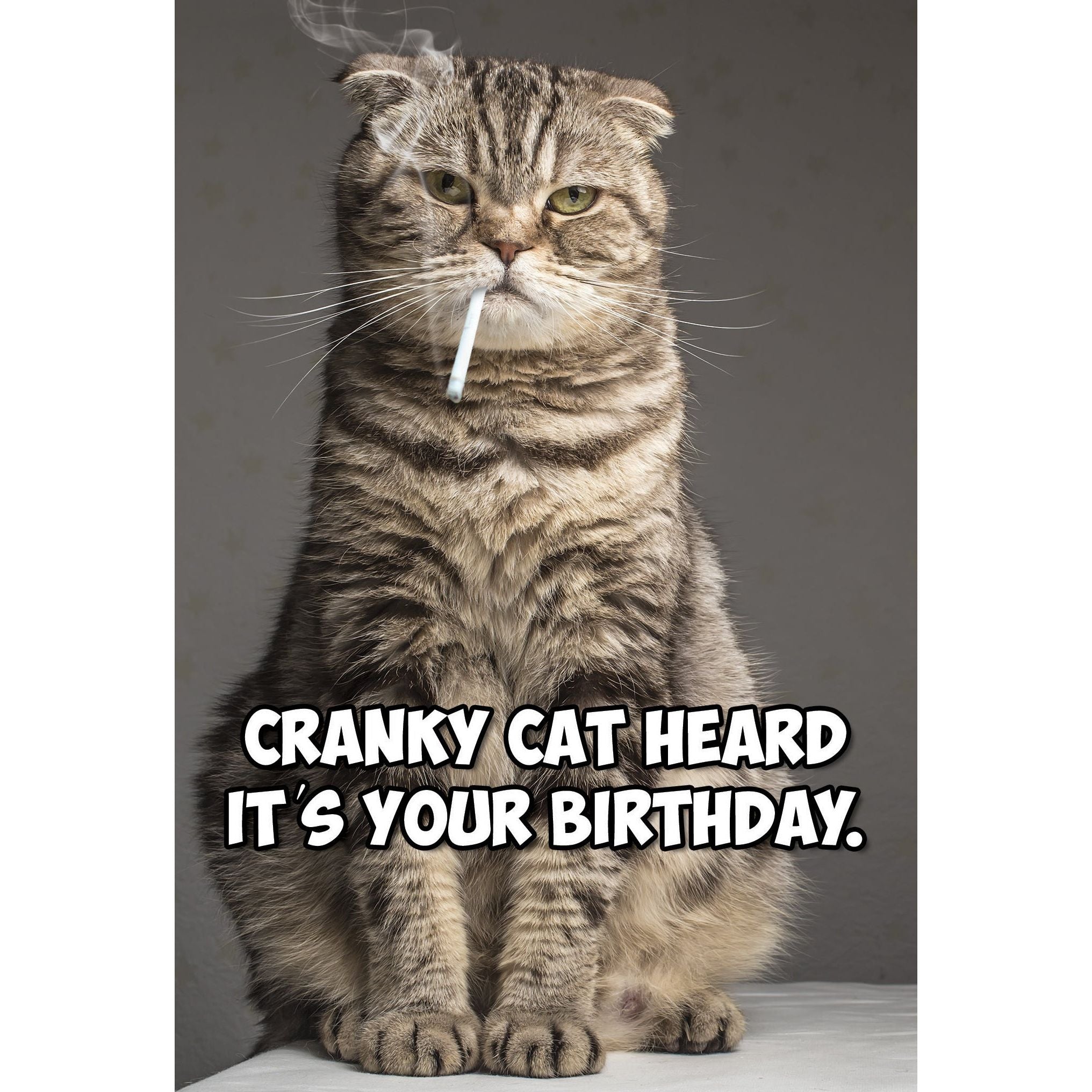 Cranky Cat Funny Birthday Card