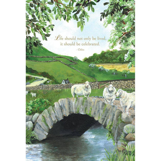 Cute sheep birthday card from Pictura, featuring a whimsical sheep illustration on an everyday greeting card.