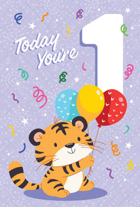 Occasion - 1st Birthday