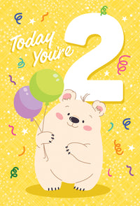 Occasion - 2nd Birthday