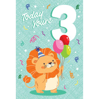 Occasion - 3rd Birthday
