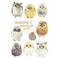 Colorful owls birthday card from Cardmore featuring cheerful owl illustrations on a festive greeting card.