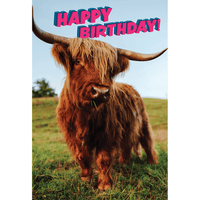 Pictura Highland Cow birthday card with lenticular design featuring a playful Highland Cow illustration on the front.