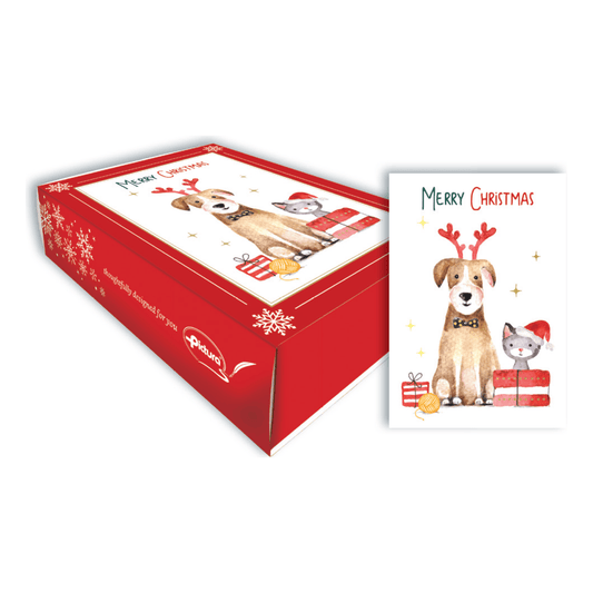 Pictura Pets Boxed Christmas Note Cards featuring festive pet illustrations and holiday-themed stationery.