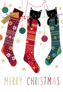 Cat Stockings Christmas Card Sara Miller