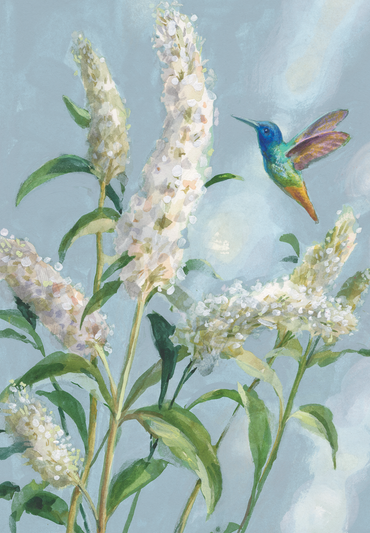 Boxed Notes - Hummingbird