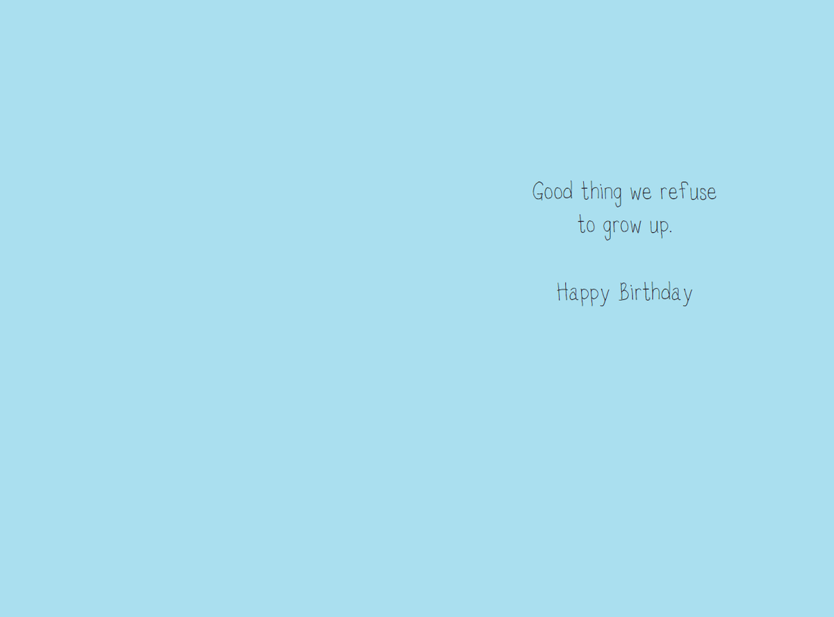 Being An Adult Is Stupid birthday card from Dolly Mamas by Pictura, featuring humorous design for everyday greeting cards.