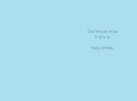 Being An Adult Is Stupid birthday card from Dolly Mamas by Pictura, featuring humorous design for everyday greeting cards.