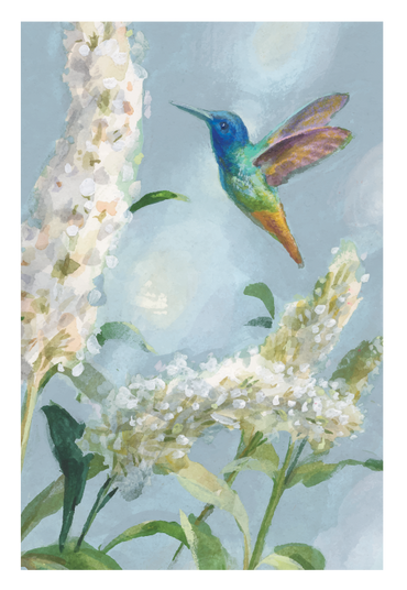 Smart Cloth - Little Hummingbird