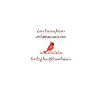 Cardmore Cardinal Sympathy Card featuring elegant red cardinal bird design, suitable for expressing condolences and heartfelt sympathy.