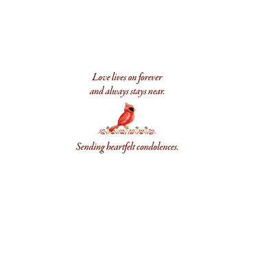 Cardmore Cardinal Sympathy Card featuring elegant red cardinal bird design, suitable for expressing condolences and heartfelt sympathy.