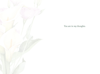 Calla lilies sympathy card from Cardmore featuring elegant flower illustrations on an everyday card design.