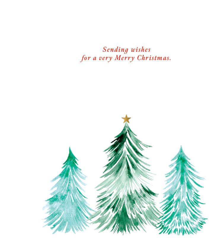 Christmas CC - General