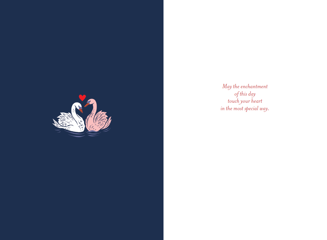 Pictura Valentine's Day card featuring romantic swans on the cover