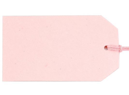 Baby pink luggage tag from Love Vivid with vivid design, featuring a soft pink strap and clear identification window.