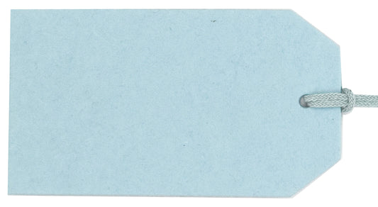 Pool blue luggage tag from Love Vivid, vivid product S/20 with a sleek, durable design perfect for travel identification.