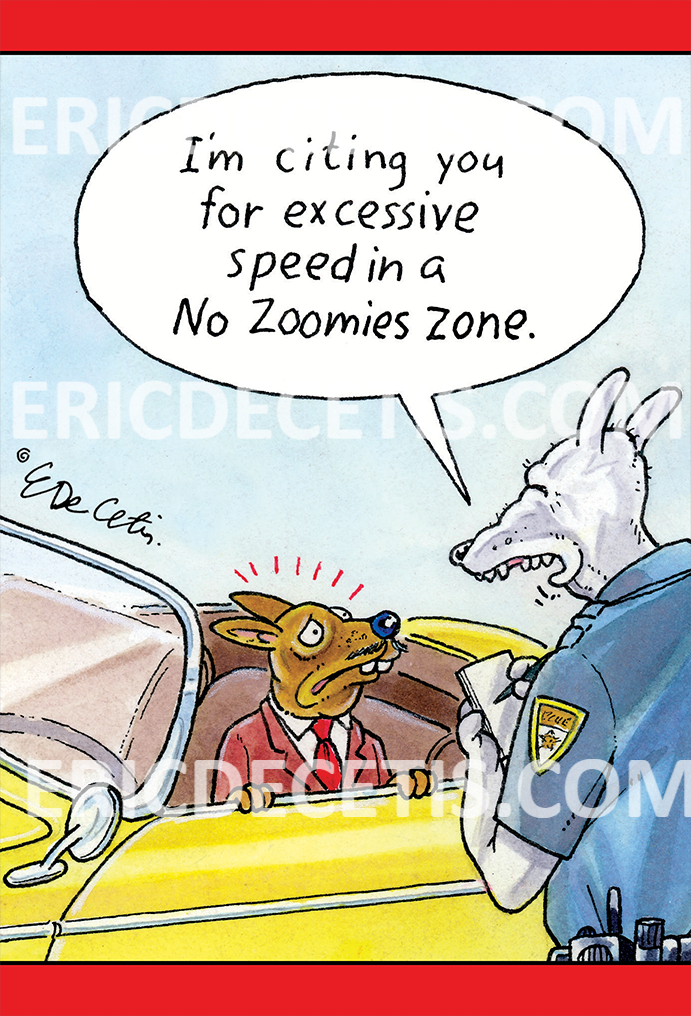 No Zoomies Zone Birthday Card Eric Decetis 30525