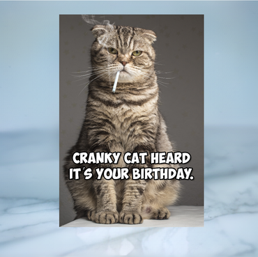 Cranky Cat Funny Birthday Card
