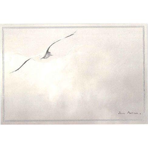 Sympathy Card Bird Flying - Cardmore