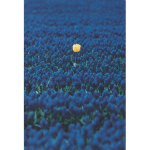 Friendship Card Single Yellow Flower - Cardmore