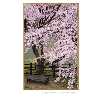 Sympathy Card May Peace Sorround You - Cardmore