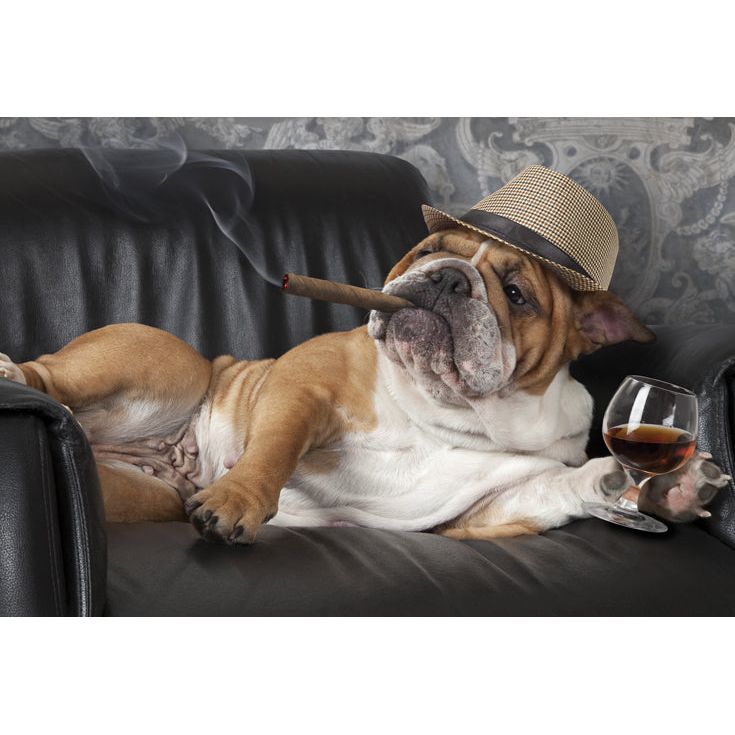 Funny Birthday Card Dog, Cigar, Whiskey - Cardmore