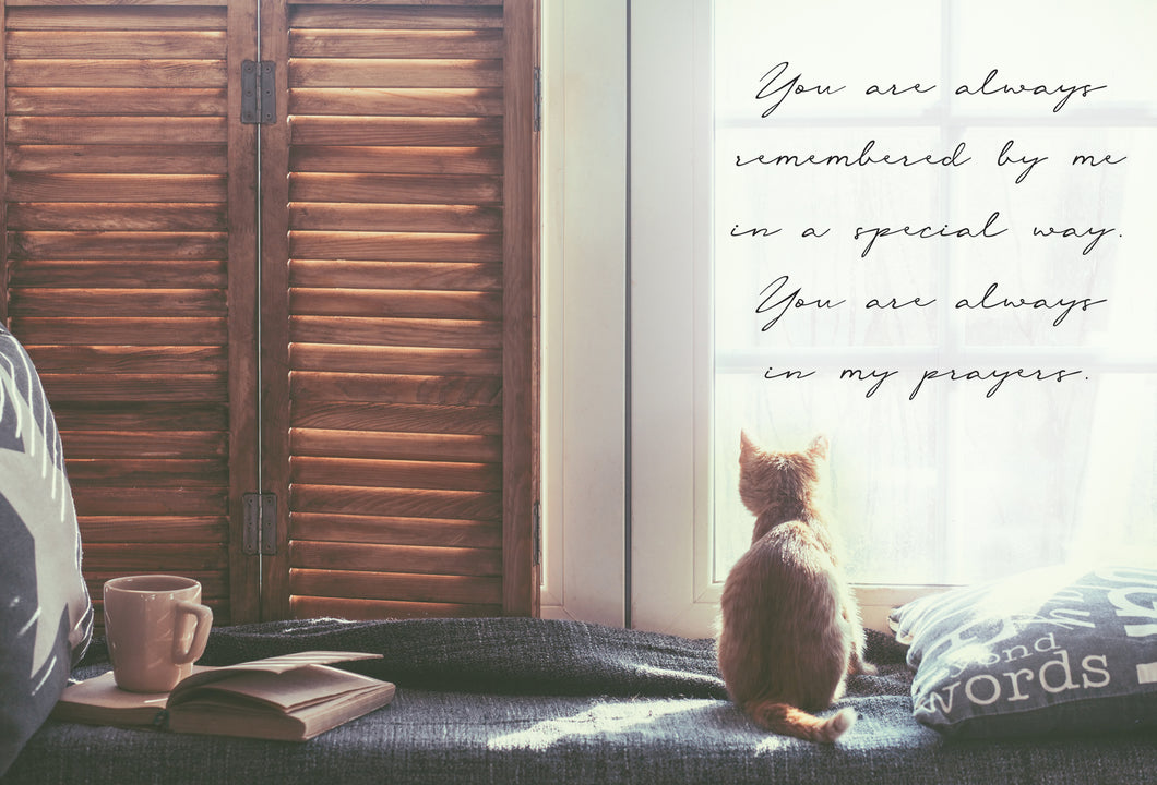 Friendship Card Cat By Windowsill - Cardmore