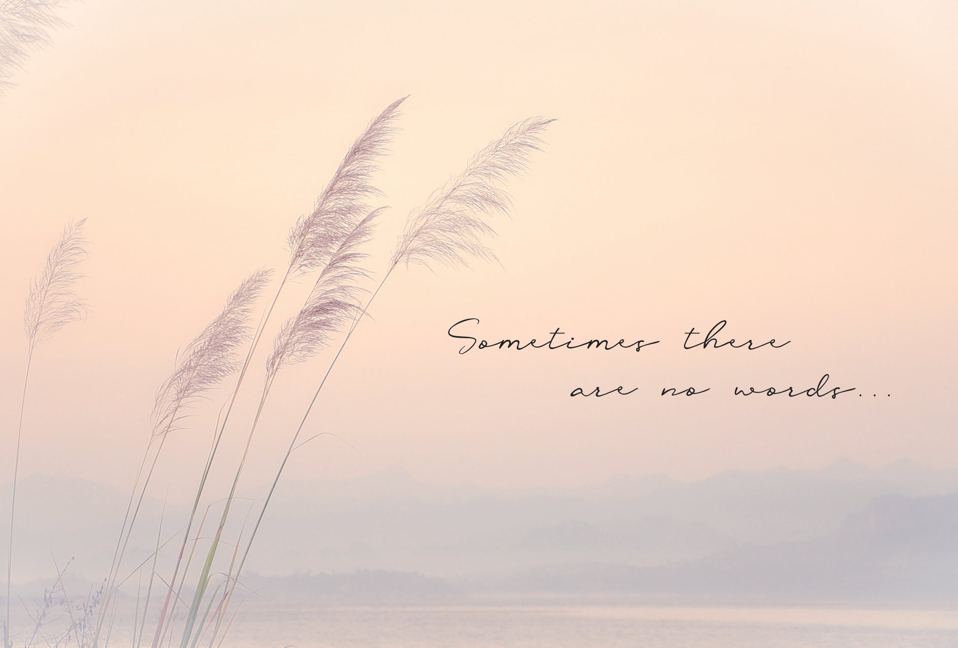 Sympathy Card Reeds - Cardmore