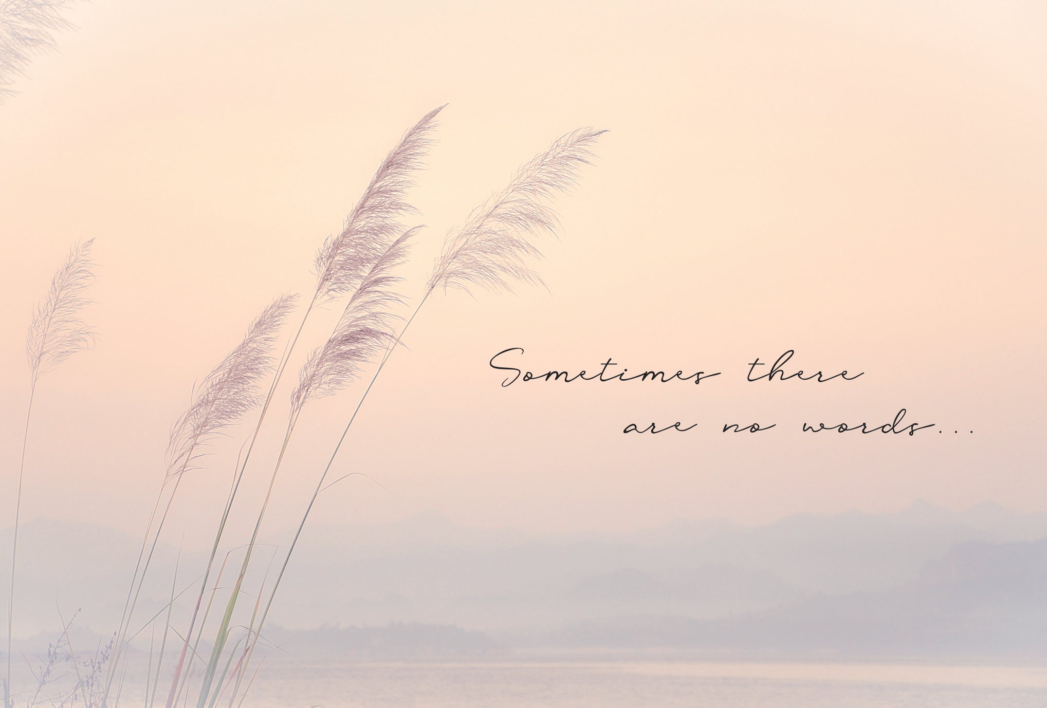 Sympathy Card Reeds - Cardmore