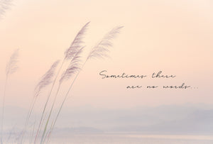Sympathy Card Reeds - Cardmore