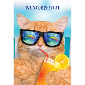Best Life Cool Cat Funny Birthday Card - Cardmore
