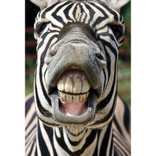 Zebra Teeth, Cheeeese! Funny Birthday Card - Cardmore