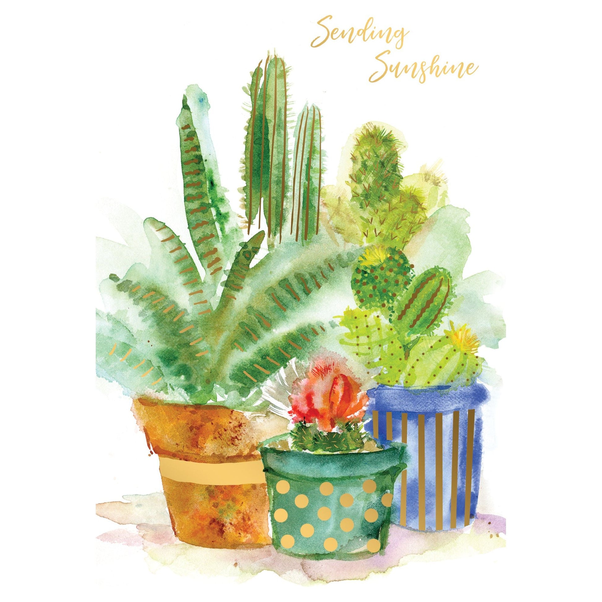 Cactus Trio Thinking Of You Card - Cardmore