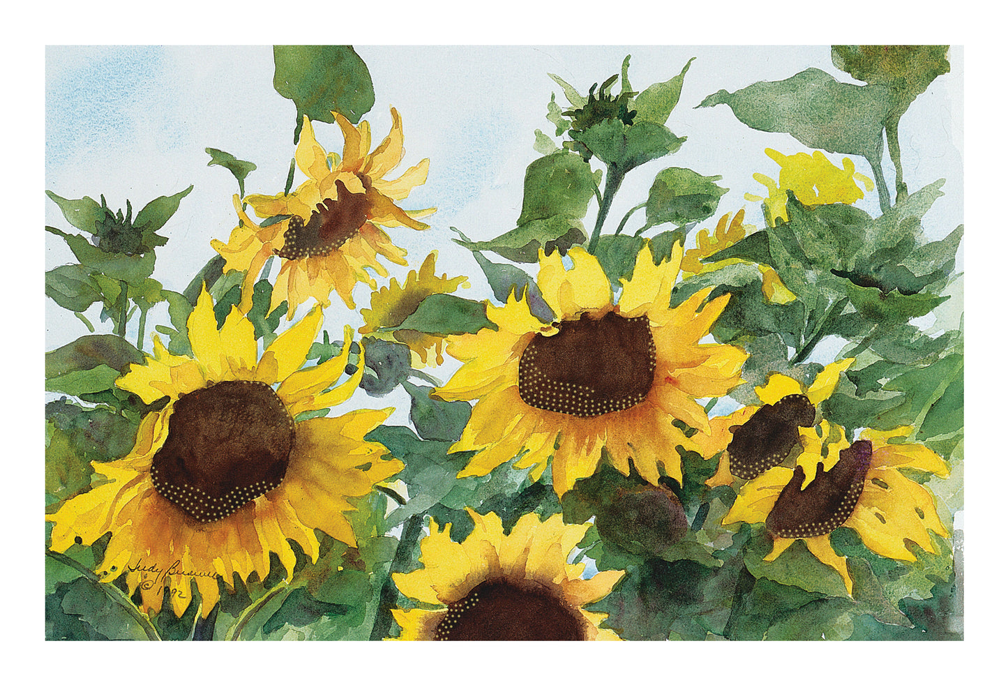 Sunflowers Birthday Card - Cardmore