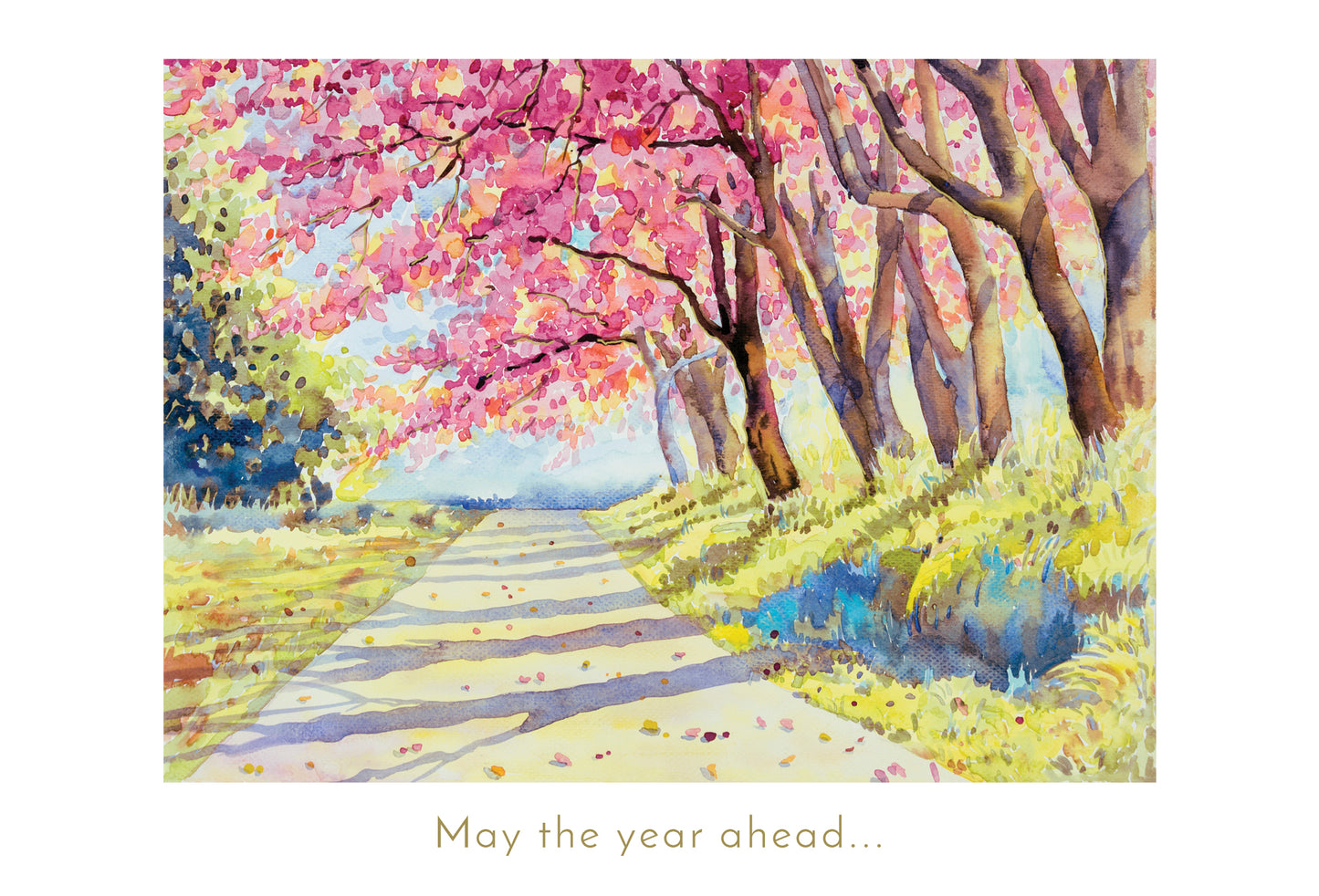 Shaded Pathway Birthday Card - Cardmore