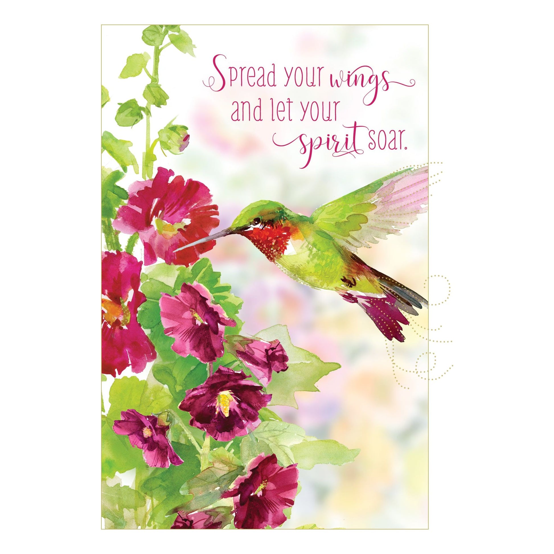 Hummingbird Birthday Card - Cardmore