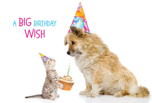 Pup & Kitten Funny Birthday Card - Cardmore
