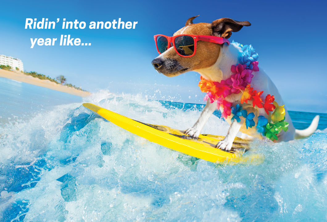 Surfing Dog Funny Birthday Card - Cardmore
