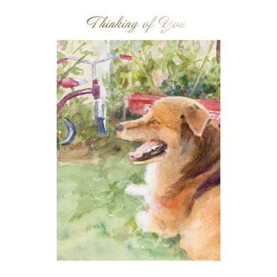Henry Dog Caring Thoughts Card - Cardmore