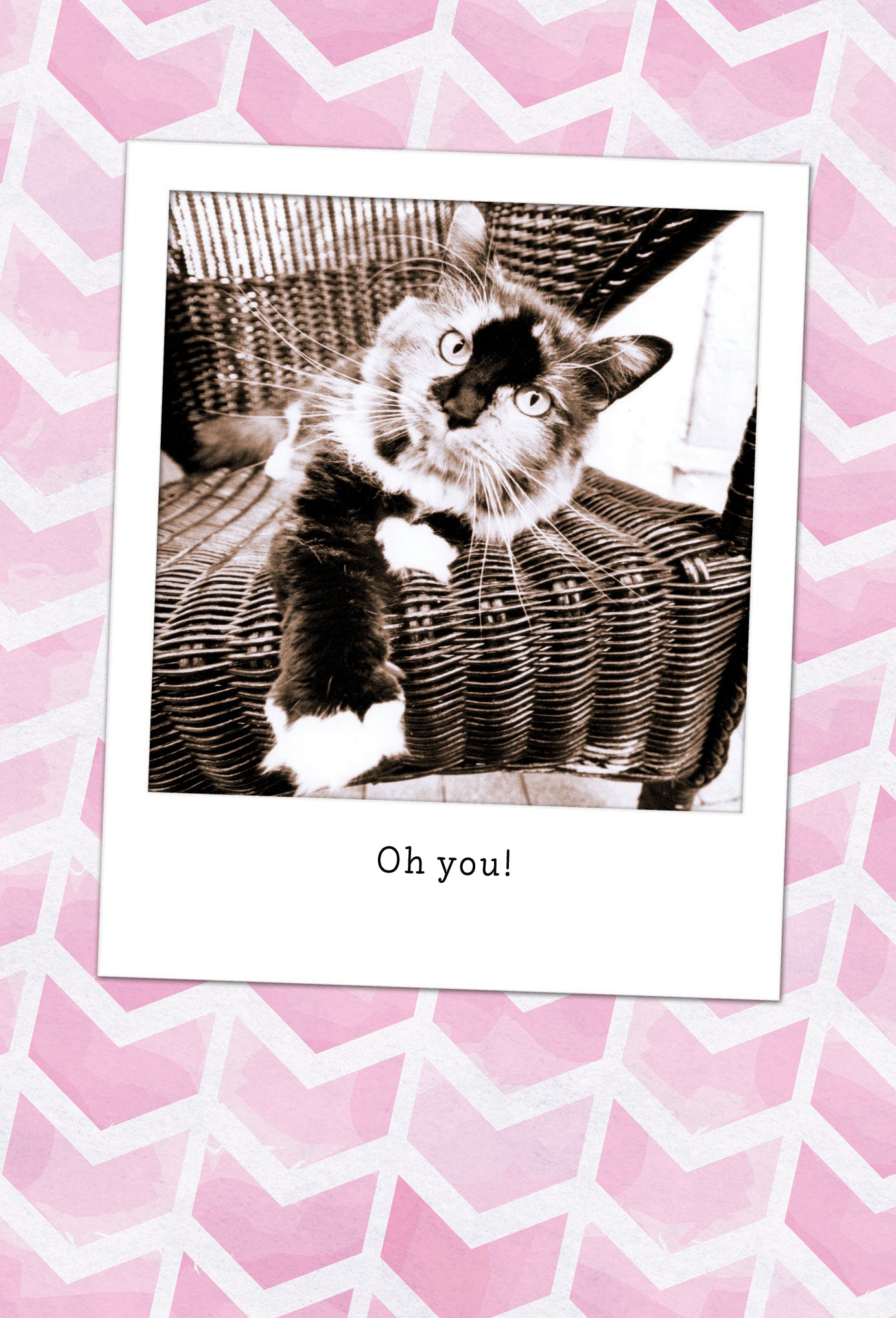 Oh you! Cat Birthday Card - Cardmore