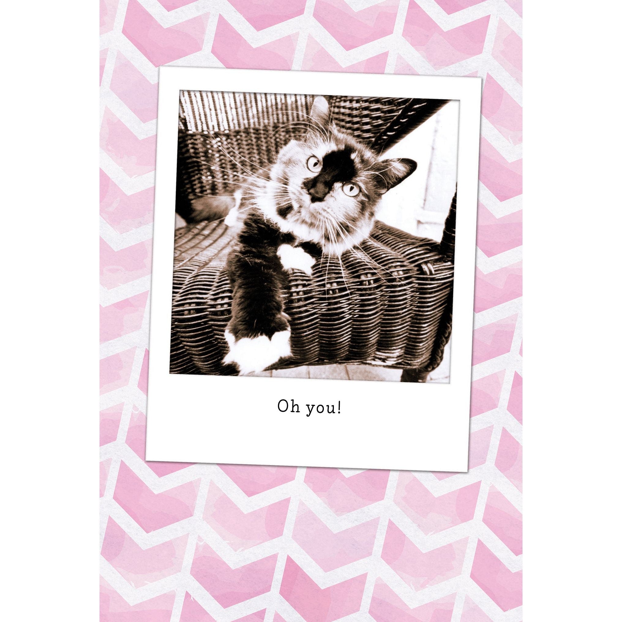 Oh you! Cat Birthday Card - Cardmore