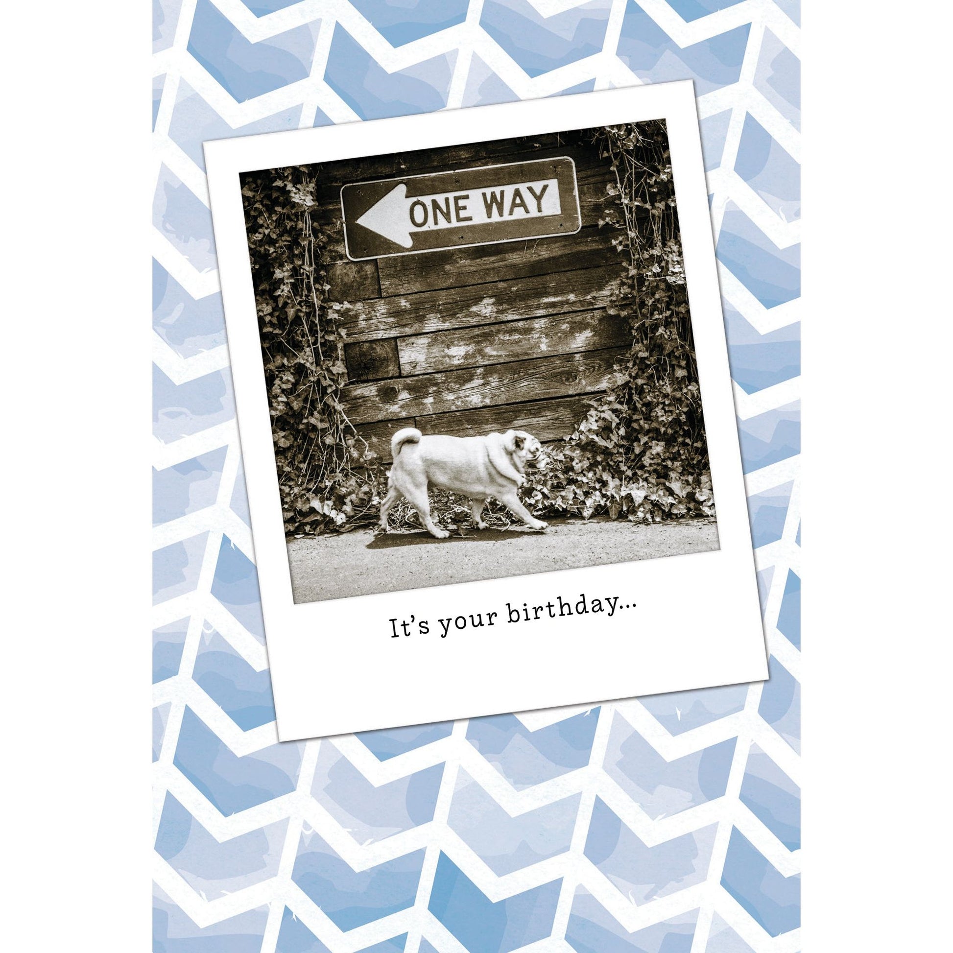 Pug One Way Birthday Card - Cardmore